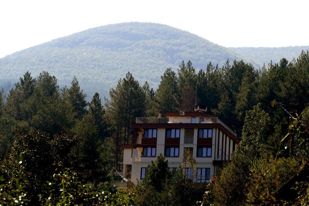 Mala Planina Guest House Iskrets 外观 照片