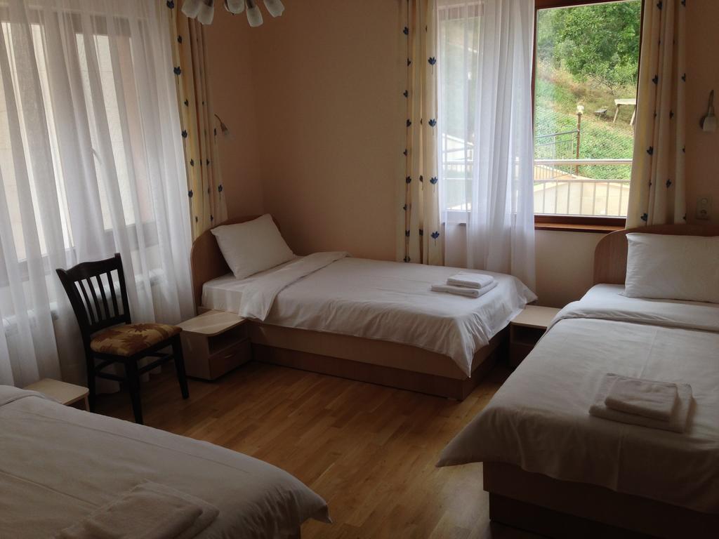 Mala Planina Guest House Iskrets 客房 照片